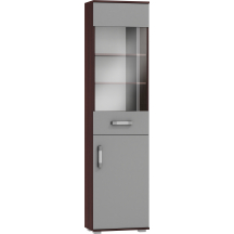 Witryna IR - W1 IRL Podstawowe