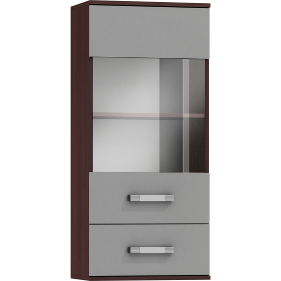 Witryna wisząca IR - SW IRL Podstawowe