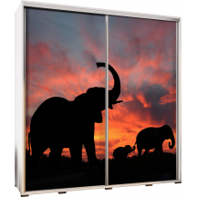 Szafa 205 z grafiką SŁONIE PENELOPA Podstawowe