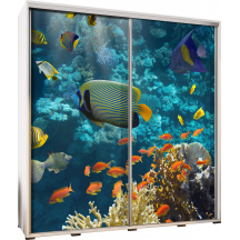 Szafa 205 z grafiką AKWARIUM PENELOPA Podstawowe