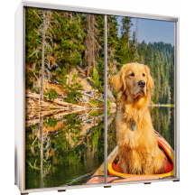 Szafa 205 z grafiką GOLDEN 3 PENELOPA Podstawowe