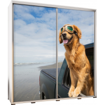 Szafa 205 z grafiką GOLDEN 1 PENELOPA Podstawowe