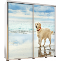 Szafa 205 z grafiką GOLDEN 2 PENELOPA Podstawowe