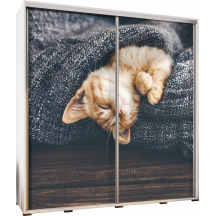 Szafa 205 z grafiką ŚPIĄCY KOTEK PENELOPA Podstawowe