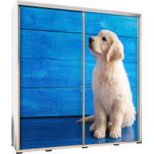 Szafa 205 z grafiką MAŁY GOLDEN PENELOPA Podstawowe