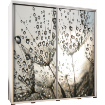 Szafa 205 z grafiką MNISZEK PENELOPA Podstawowe