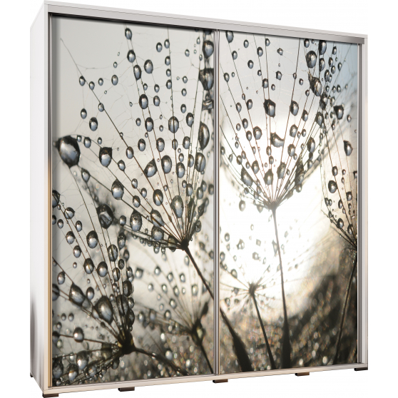 Szafa 205 z grafiką MNISZEK PENELOPA Podstawowe