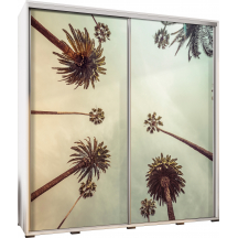 Szafa 205 z grafiką LOS ANGELES 2 PENELOPA Podstawowe