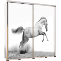 Szafa 205 z grafiką KOŃ PENELOPA Podstawowe