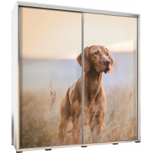 Szafa 205 z grafiką PIES PENELOPA Podstawowe