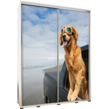 Szafa 155 z grafiką GOLDEN 1 PENELOPA Podstawowe