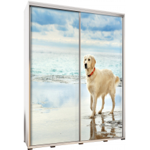 Szafa 155 z grafiką GOLDEN 2 PENELOPA Podstawowe