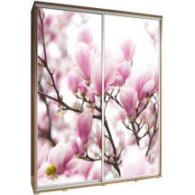 Szafa 155 z grafiką WIŚNIA PENELOPA Podstawowe