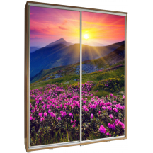 Szafa 155 z grafiką GÓRY 2 PENELOPA Podstawowe