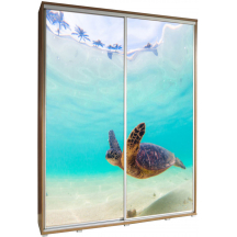 Szafa 155 z grafiką ŻÓŁW 1 PENELOPA Podstawowe