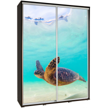 Szafa 155 z grafiką ŻÓŁW 2 PENELOPA Podstawowe