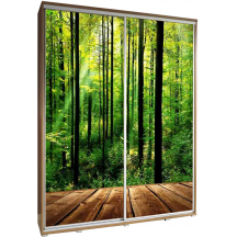 Szafa 155 z grafiką LAS PENELOPA Podstawowe