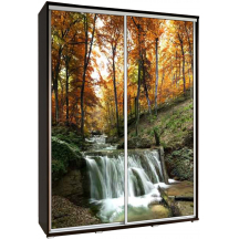 Szafa 155 z grafiką LAS 1 PENELOPA Podstawowe