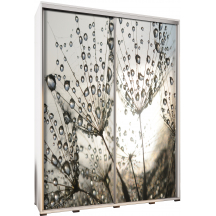 Szafa 155 z grafiką MNISZEK PENELOPA Podstawowe