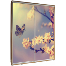 Szafa 155 z grafiką MOTYL 2 PENELOPA Podstawowe