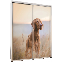 Szafa 155 z grafiką PIES PENELOPA Podstawowe