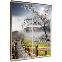 Szafa 155 z grafiką SCHODY PENELOPA Podstawowe