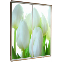 Szafa 155 z grafiką TULIPANY PENELOPA Podstawowe