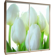 Szafa 205 z grafiką TULIPANY PENELOPA Podstawowe