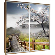 Szafa 205 z grafiką SCHODY PENELOPA Podstawowe