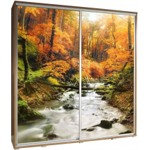 Szafa 205 z grafiką POTOK PENELOPA Podstawowe