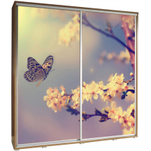 Szafa 205 z grafiką MOTYL 2 PENELOPA Podstawowe