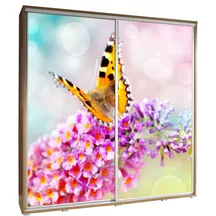 Szafa 205 z grafiką MOTYL 1 PENELOPA Podstawowe