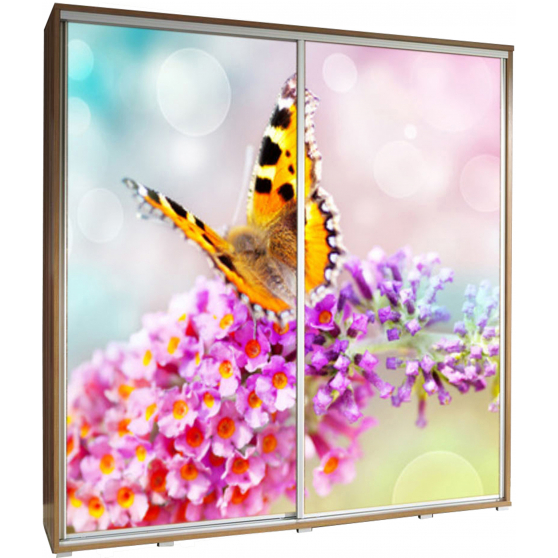 Szafa 205 z grafiką MOTYL 1 PENELOPA Podstawowe