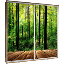 Szafa 205 z grafiką LAS PENELOPA Podstawowe