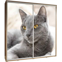 Szafa 205 z grafiką KOT PENELOPA Podstawowe