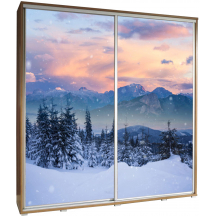 Szafa 205 z grafiką ZIMA 1 PENELOPA Podstawowe