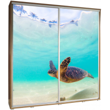 Szafa 205 z grafiką ŻÓŁW 1 PENELOPA Podstawowe