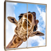 Szafa 205 z grafiką ŻYRAFA 1 PENELOPA Podstawowe