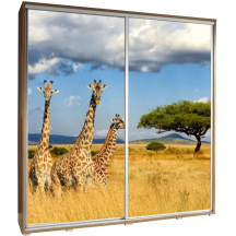 Szafa 205 z grafiką ŻYRAFA 2 PENELOPA Podstawowe