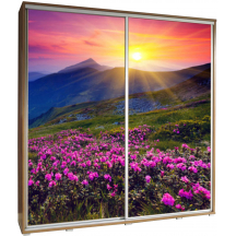 Szafa 205 z grafiką GÓRY 2 PENELOPA Podstawowe