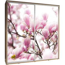 Szafa 205 z grafiką WIŚNIA PENELOPA Podstawowe