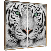 Szafa 205 z grafiką TYGRYS PENELOPA Podstawowe