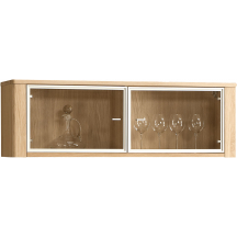 Witryna wisząca Typ 14 ORLANDO Podstawowe (1)