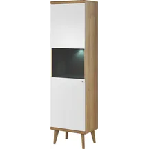 Witryna PWT50 PRIMO Podstawowe