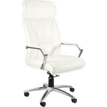 Fotel obrotowy gabinetowy CELIO Podstawowe (1)