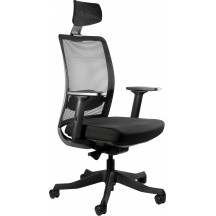 Fotel obrotowy ergonomiczny ANGGUN Podstawowe