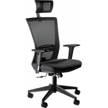 Fotel obrotowy ergonomiczny ERGONIC Podstawowe