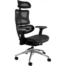 Fotel obrotowy ergonomiczny ERGOTECH CHROM Podstawowe