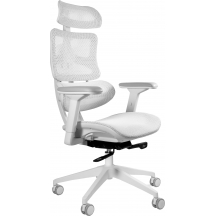 Fotel obrotowy ergonomiczny ERGOTECH NYLON WHITE Podstawowe