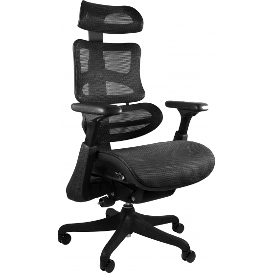 Fotel obrotowy ergonomiczny ERGOTHRONE Podstawowe